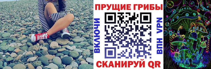 сайты даркнета состав  как найти наркотики  Медногорск  Псилоцибиновые грибы GOLDEN TEACHER 
